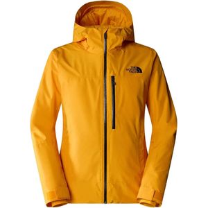 The North Face Descendit ski jas heren goud