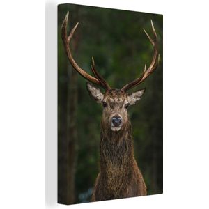 Canvas Natuur - Hert - Schotland - Bos - Gewei - 40x60 cm - Muurdecoratie