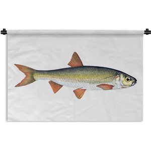 Wandkleed Vissen - Groen met oranje karper op een witte achtergrond Wandkleed katoen 150x100 cm - Wandtapijt met foto