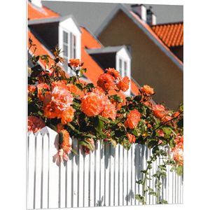 WallClassics - PVC Schuimplaat - Witte Schutting met Roze Tuinrozen - 75x100 cm Foto op PVC Schuimplaat (Met Ophangsysteem)