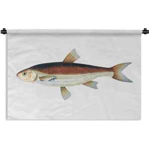 Wandkleed Vissen - Bruin met zilveren karper op een witte achtergrond Wandkleed katoen 150x100 cm - Wandtapijt met foto