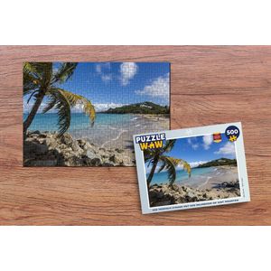 Puzzel Een tropisch strand met een palmboom op Sint Maarten - Legpuzzel - Puzzel 500 stukjes