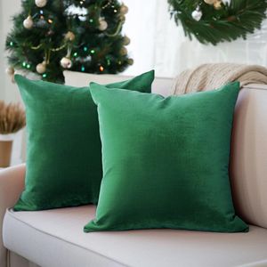 Goodivery ® Set van 2 Luxe Fluwelen Kussenslopen voor Stijlvolle Woonkamerinrichting