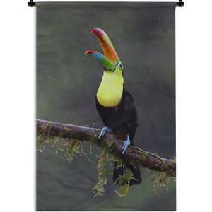 Wandkleed Junglebewoners - Toekan in de regen Wandkleed katoen 60x90 cm - Wandtapijt met foto