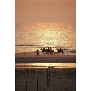 Dibond - Zee / Water - Strand in oranje / geel / blauw / beige / wit / zwart - 80 x 120 cm.
