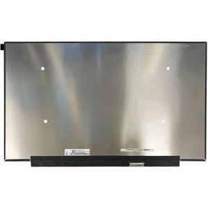 LCD scherm geschikt voor Medion Erazer Defender MD62522 (240Hz)