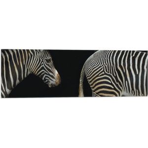 WallClassics - Vlag - Kop en Kont van Zebra - 90x30 cm Foto op Polyester Vlag
