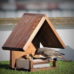 Voerbak voor vogels 'Huis' vogelvoeder