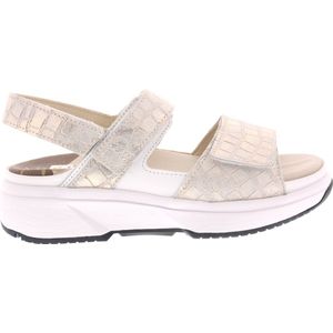 Dames Sandalen Xsensible Aruba White Metal Wit - Maat 38