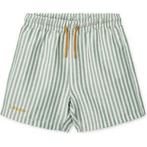 Duke Stripe Board Shorts Stripe Peppermint / Crisp White