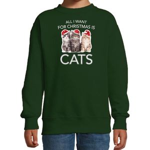 Kitten Kerstsweater / Kerst trui All I want for Christmas is cats groen voor kinderen - Kerstkleding / Christmas outfit 110/116