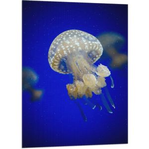 WallClassics - Vlag - Witte Kwal onderwater - 70x105 cm Foto op Polyester Vlag