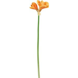 J-Line bloem Amaryllis 3 Bloem - kunststof - lichtoranje - 12 stuks