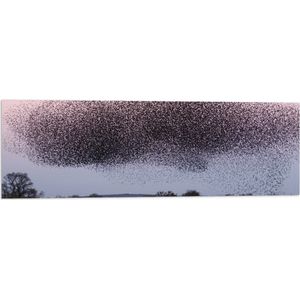 WallClassics - Vlag - Grote Zwerm Vogels in de Lucht - 90x30 cm Foto op Polyester Vlag