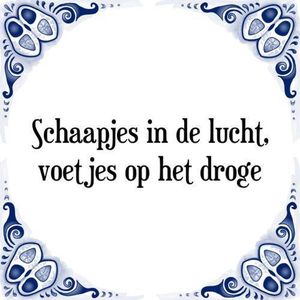 Tegeltje met Spreuk (Tegeltjeswijsheid): Schaapjes in de lucht, voetjes op het droge + Kado verpakking & Plakhanger