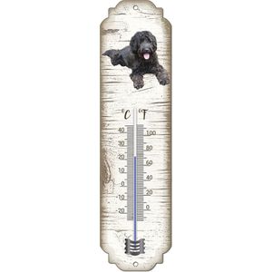 Thermometer: Labradoodle | Hondenras | Temperatuur binnen en buiten | -25 tot +45C