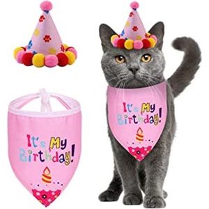 Poezen verjaardagset 2-delig It's my Birthday roze met feestmuts en bandana - kat - poezen - poes - verjaardag - bandana