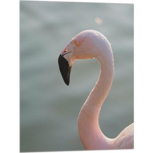 WallClassics - Vlag - Gezicht van Roze FLamingo - 60x80 cm Foto op Polyester Vlag