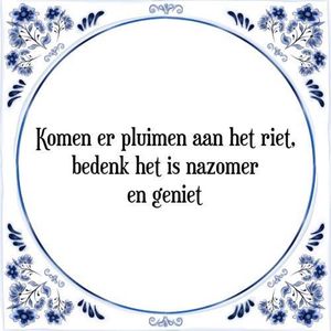 Tegeltje met Spreuk (Tegeltjeswijsheid): Komen er pluimen aan het riet, bedenk het is nazomer en geniet + Kado verpakking & Plakhanger