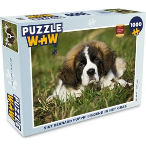 Puzzel Sint Bernard puppie liggend in het gras - Legpuzzel - Puzzel 1000 stukjes volwassenen