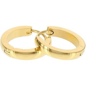 Kalli edelstalen Oorbel shiny rond 1832 Goud 16mm