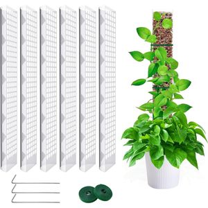 Mosstok voor Klimplanten - 61 cm - Groene Kamerplanten - Uitbreidbare Paal