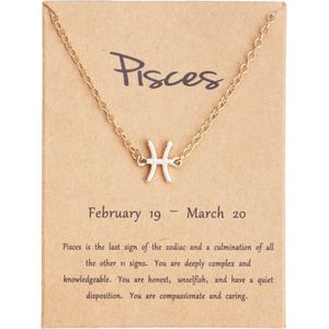 Bixorp Stars Sterrenbeeld Enkelbandje Vissen (Pisces) Hanger Goudkleurig - Zodiac Sieraad - Inclusief Nederlandstalige Informatie over het Sterrenbeeld - Cadeau voor Meisjes, Jongens & Volwassenen