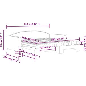 vidaXL Slaapbank - Onderschuifbed - 100x200 cm - Grijs Slaapbank - Sofa Bed - Tweepersoonsbed - Donkere Kleuren - Moderne Meubels