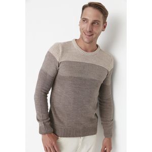 Trendyol Mannen Standaard mouw Basis Beige geblokte herensweater met ronde hals en slim-fit