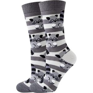 Grappige Sokken met Wasberen - Grijs - Dames Maat 36-40 - Funny Socks Dieren
