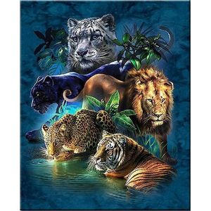 Denza - Diamond painting big 5 leeuw panter voor volwassenen 40 x 50 cm mooi volledige bedrukking ronde steentjes direct leverbaar - of Afrika - black panter - lion - luipaard - katachtige - diamant peinture