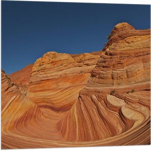 WallClassics - Vlag - The Wave - Amerika Berglandschap - 80x80 cm Foto op Polyester Vlag