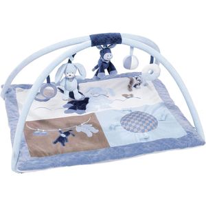 DailySupplies® Baby Speelkleed Met Boog - Babyspeelgoed 0 Jaar - Kinderspeelgoed 1 Jaar - Speelmat - Babygym