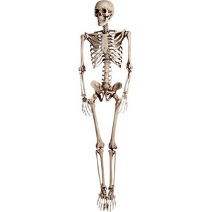 Fjesta© Halloween skelet - 160cm