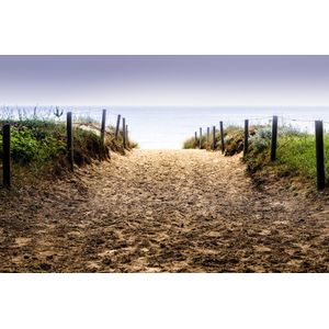 Dibond - Zee - Strand in wit / zwart / bruin / blauw / groen - 80 x 120 cm