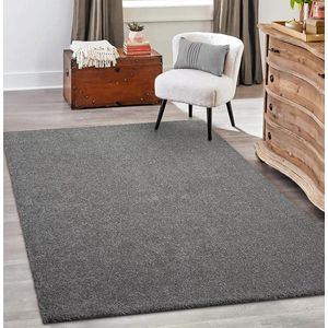 the carpet Grande Modern Pluizig Kortpolig Woonkamerkleed, Superzacht aanvoelend, Elegant en Onderhoudsvriendelijk, 140x200