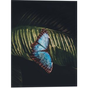 WallClassics - Vlag - Blauw met Zwarte Vlinder op Groen Blaadje - 30x40 cm Foto op Polyester Vlag