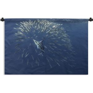 Wandkleed Zeedieren - Gestreepte marlijn en zeeleeuw jagen op sardientjes Wandkleed katoen 120x80 cm - Wandtapijt met foto