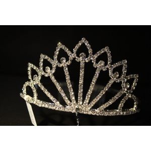 Mooie tiara, kroon, bruid, prinses, haaraccessoire, luxe diadeem, Haarpin, bloemen, haarpin, strass, koningin