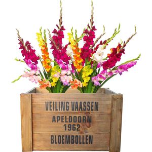 Houten kist (L) 25x19x16cm 2 stuks - Houten krat - Opbergkist - Opbergkrat - Decoratiekrat - Decoratief - Decoratie - Met handvatten