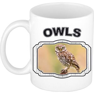 Dieren liefhebber steenuil mok 300 ml - kerramiek - cadeau beker / mok uilen liefhebber