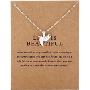 Bixorp Luck Geluksketting met Kolibrie Vogel Zilverkleurig - Afscheidscadeau - Cadeau voor Haar / Dames / Vriendin / Mama / Vrouwen - Ketting met Hummingbird Hanger