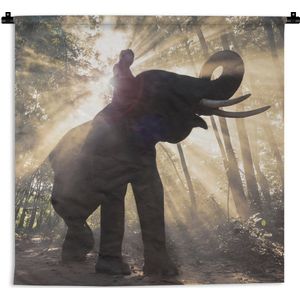 Wandkleed - Wanddoek - Olifant met persoon in fel zonlicht - 120x120 cm - Wandtapijt