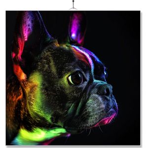 Tegel Met Opdruk | Geschenk | Dier | Regenboog | HD | Boston Terrier
