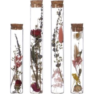 Comforder Droogbloemen in Glas - Gedroogde Bloemen Boeket met Vaas - Set van 4 - Inclusief Vaas - In Fles