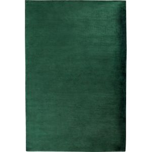 GESI II - Laagpolig vloerkleed - Groen - 200 x 300 cm - Viscose