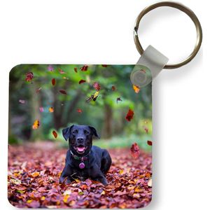 Sleutelhanger - Uitdeelcadeautjes - Zwarte Labrador Retriever die tussen mooie herfstbladeren ligt - Plastic