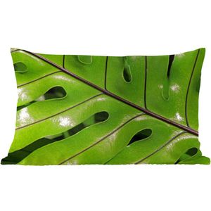 Sierkussen Botanisch voor binnen - Tropisch botanisch blad glanzend onder de zon - 60x40 cm - rechthoekig binnenkussen van katoen