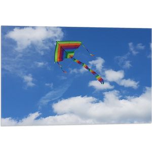 WallClassics - Vlag - Regenboog Vlieger in de Lucht - 75x50 cm Foto op Polyester Vlag