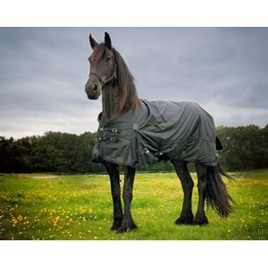 LuBa Paardendekens - Regendeken - Luba Extreme Turnout 1680D FRIES PAARD outdoordeken - 0gram - 195 cm